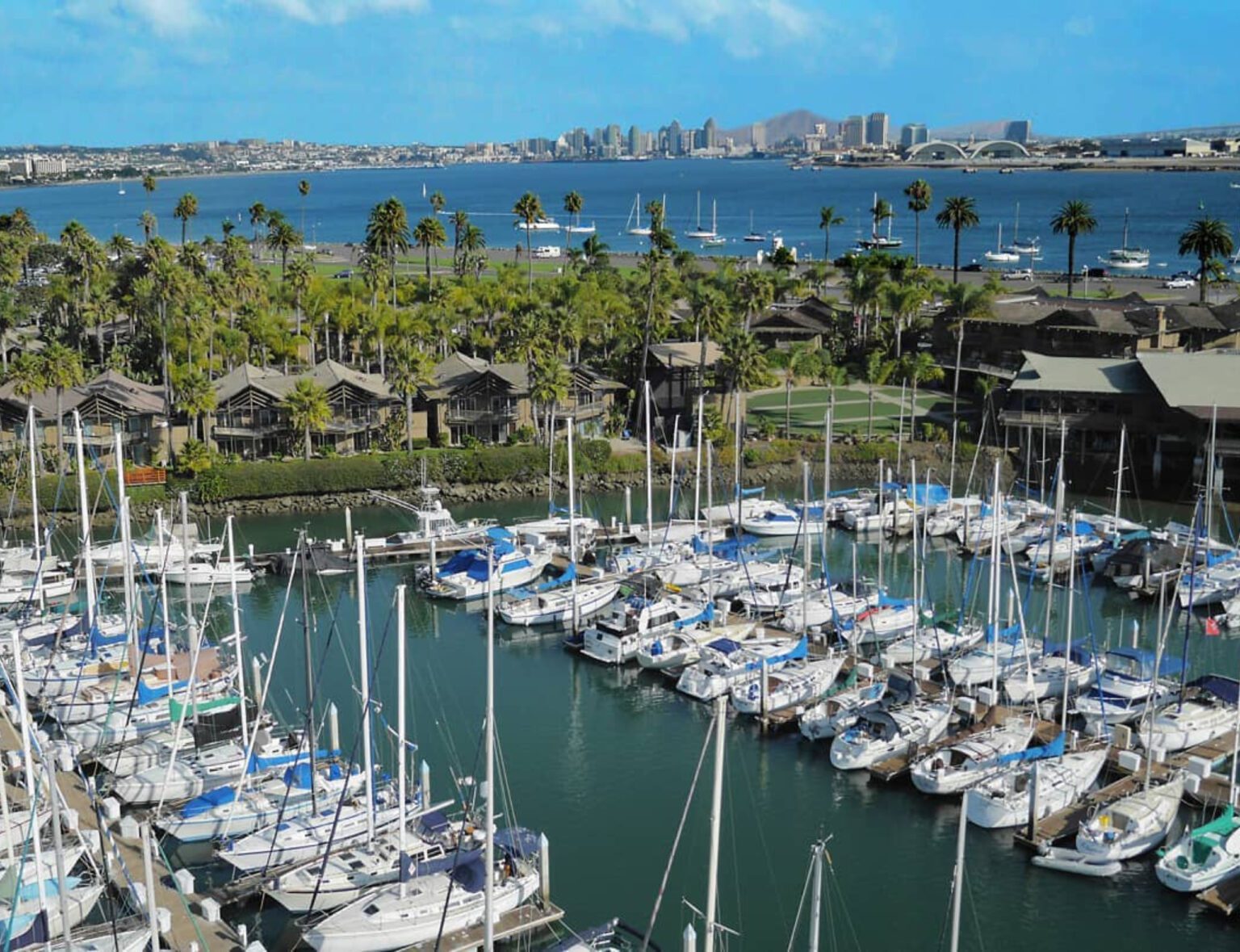 boats in the marina