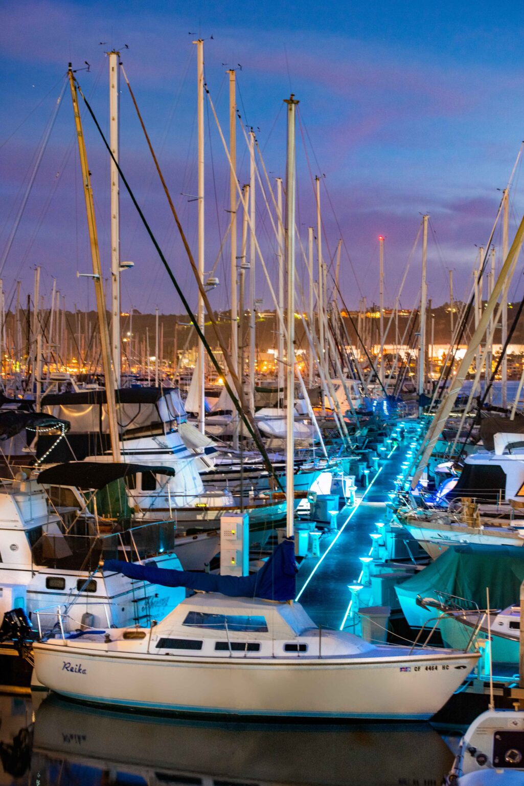 marina at night