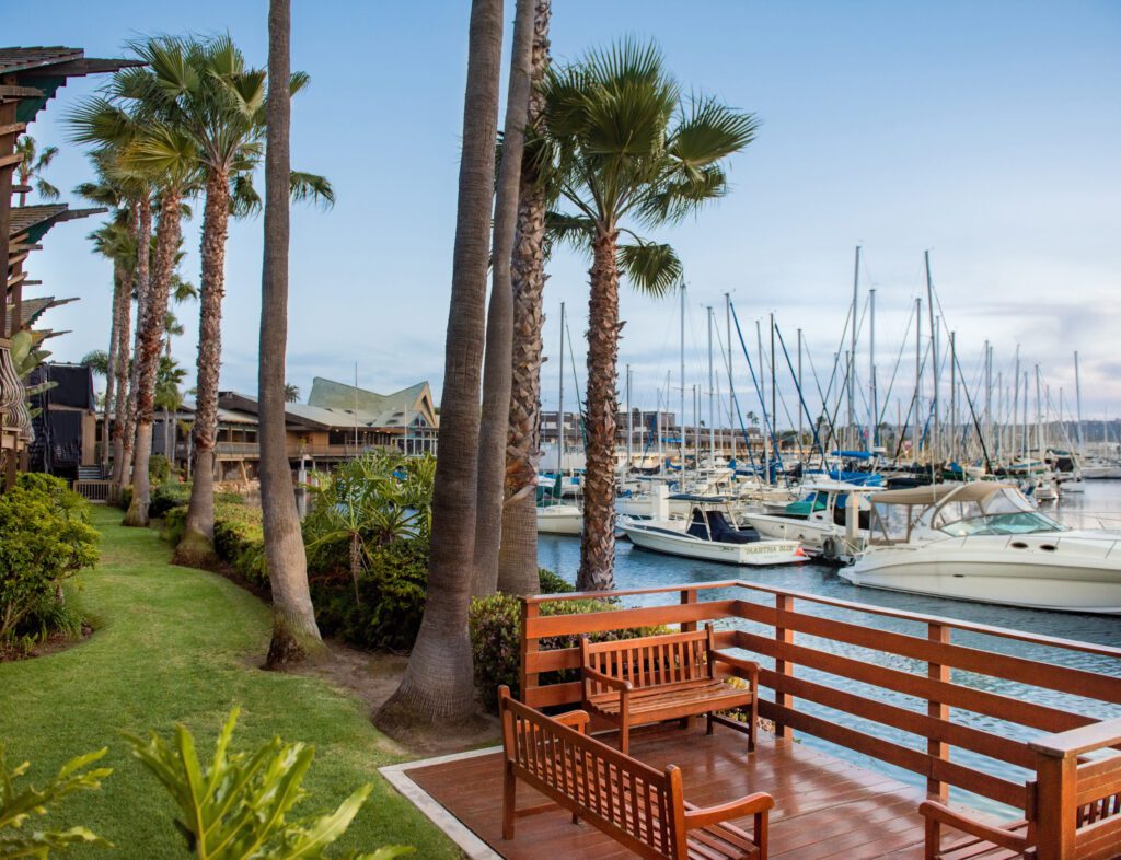 Bench with marina view