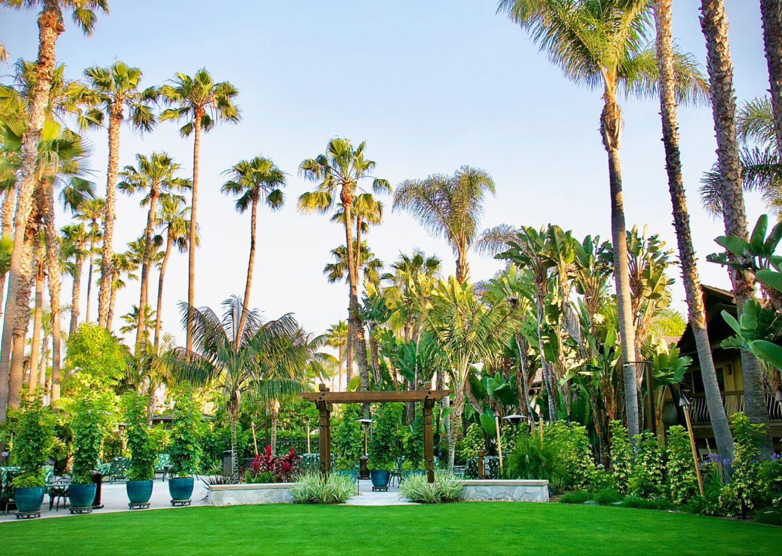 lawn surrounded by palm trees and vegetation