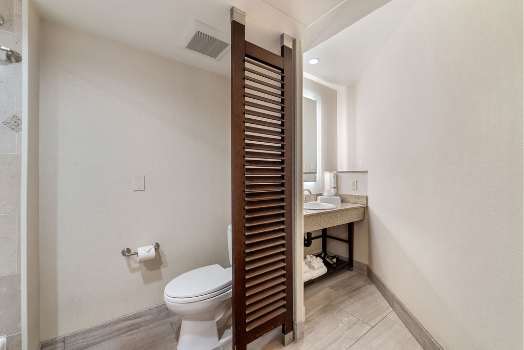 Bathroom and Vanity