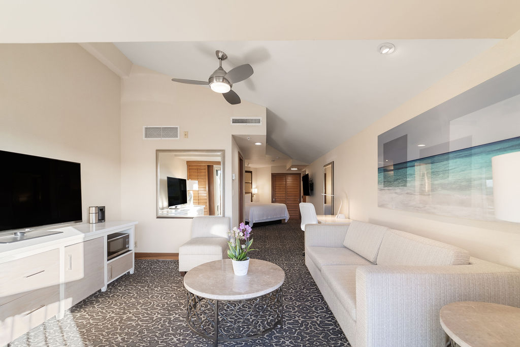 Guest Living Room with couch, tv and coffee table