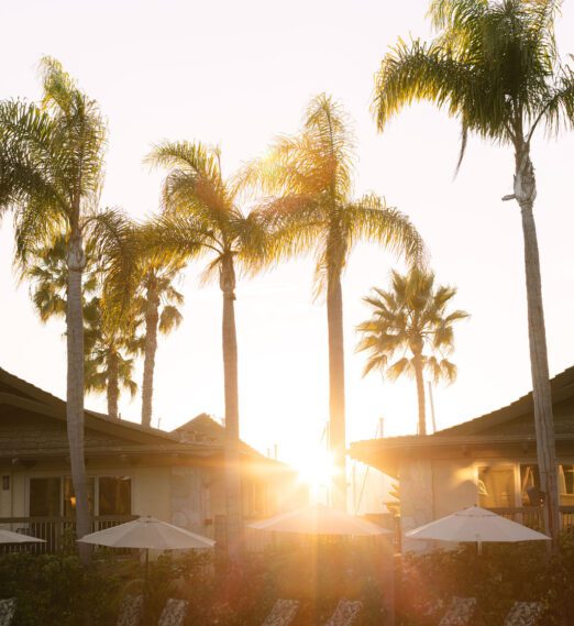 Your Perfect 3-Day Spring Getaway in San Diego