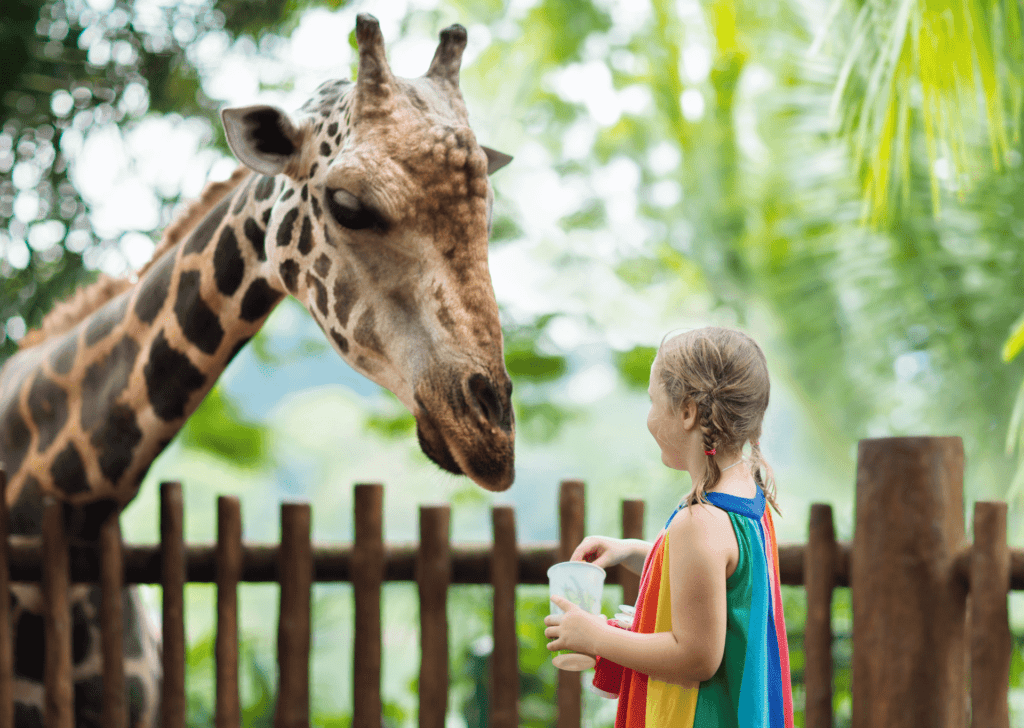child with giraffe
