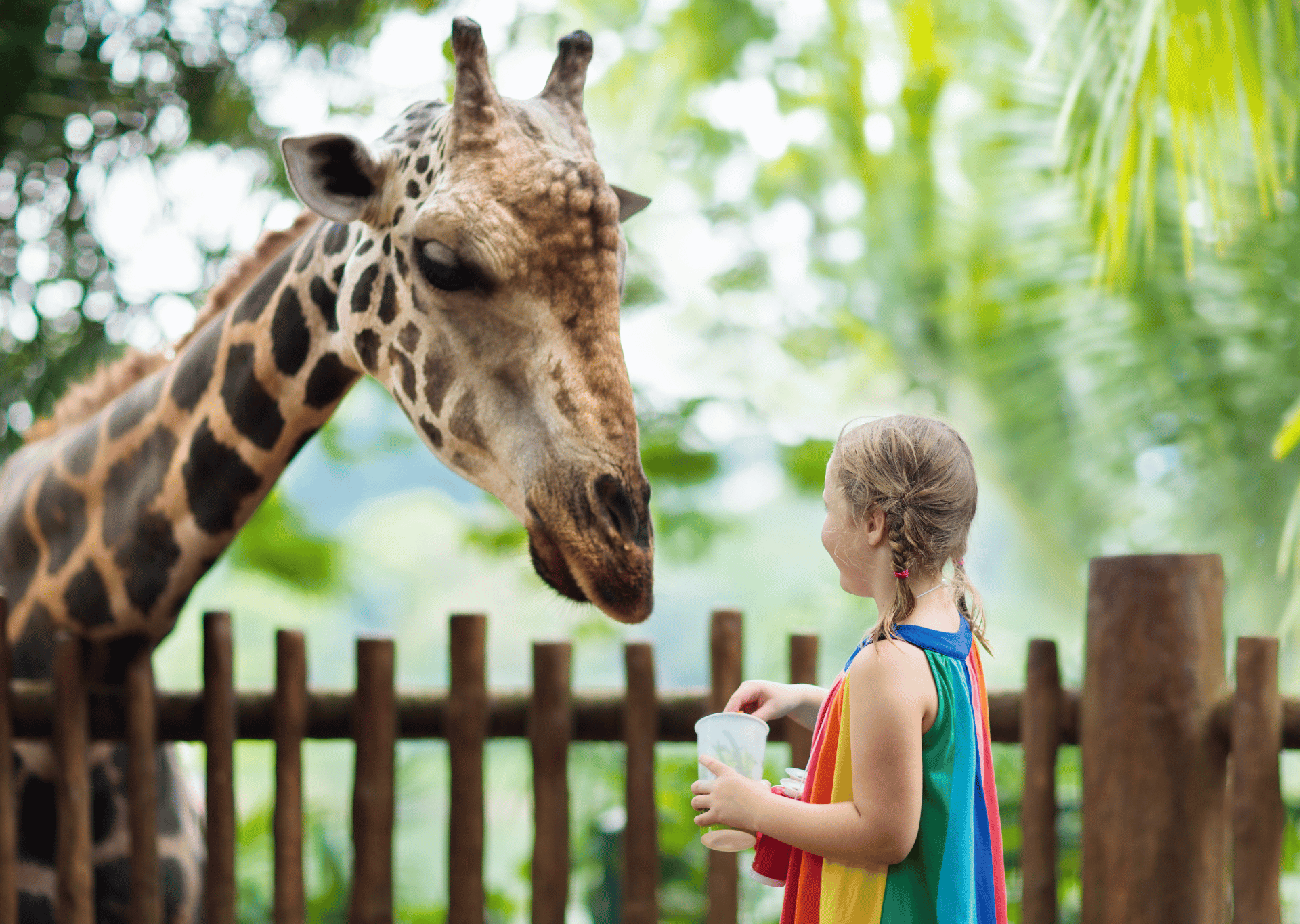 child with giraffe