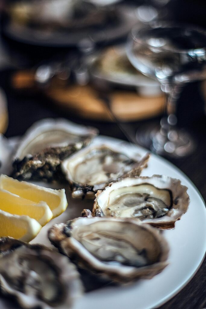 oysters