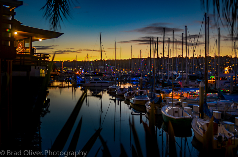 holiday lights overlooking the shelter island marina