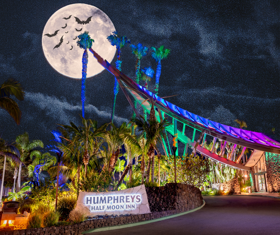 Half Moon Inn Entry sign at night with moon and bats