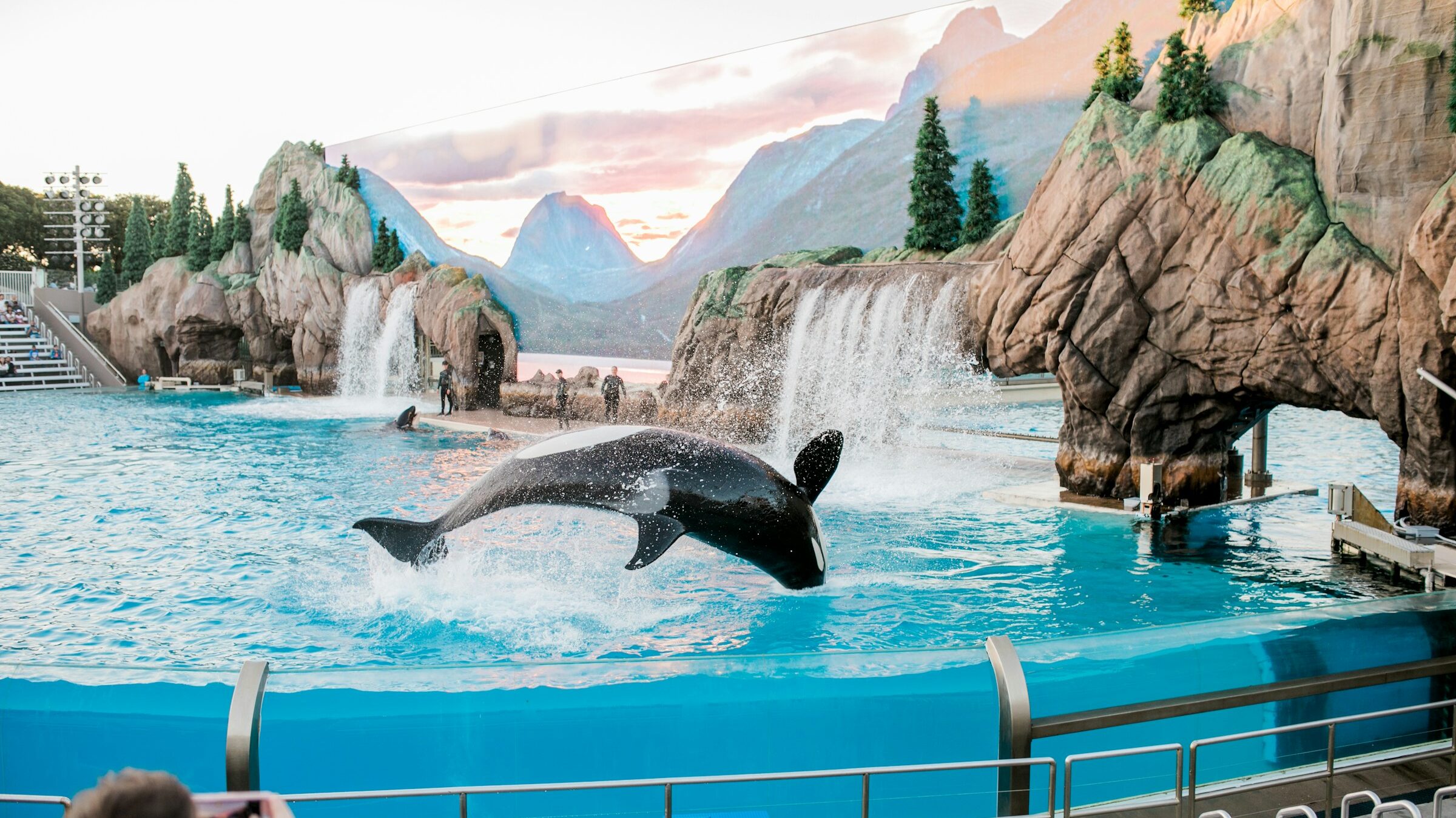 SeaWorld Package