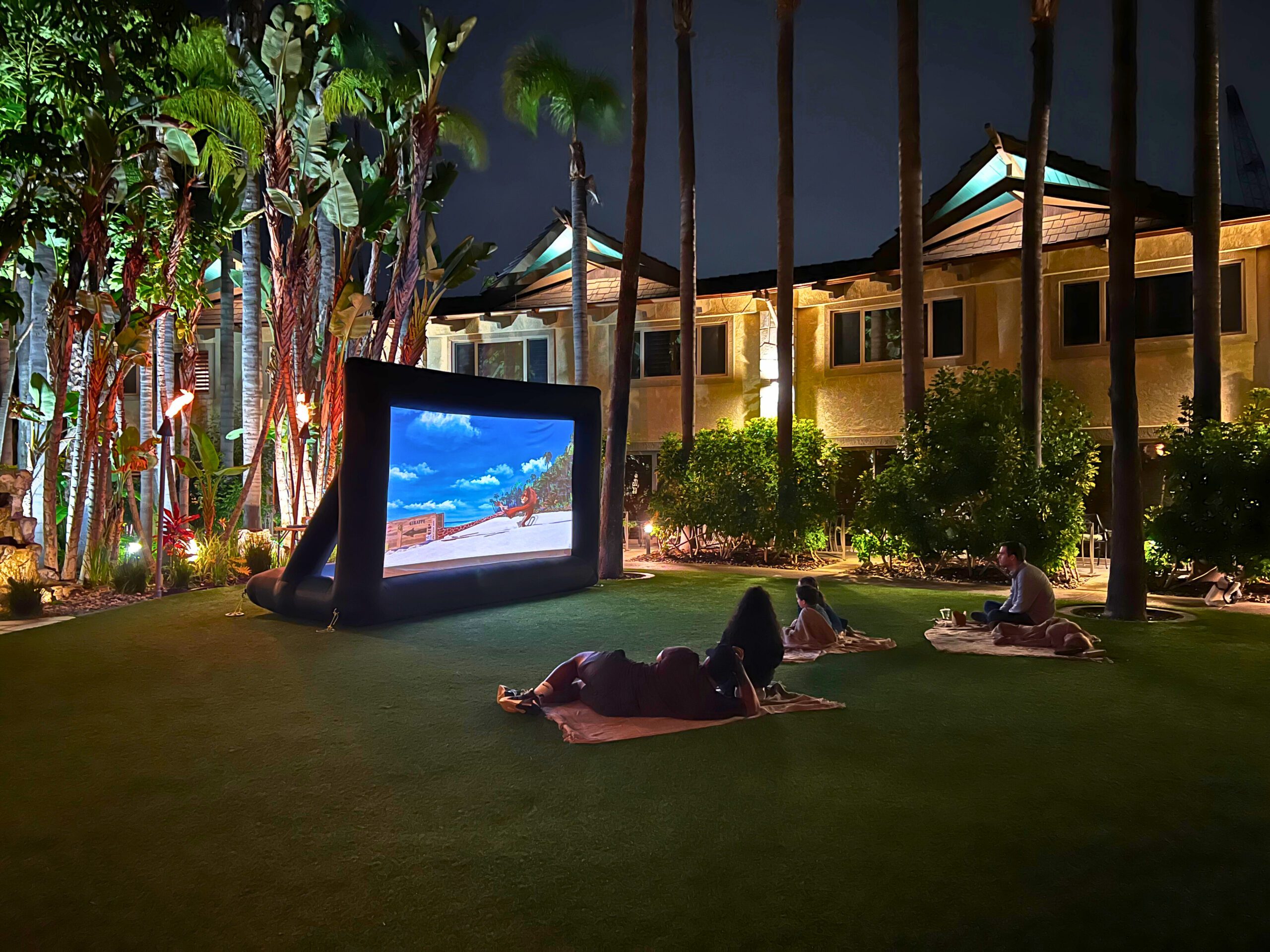 Movie on lawn