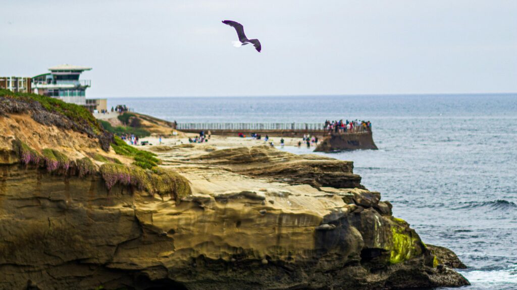 sunset cliffs